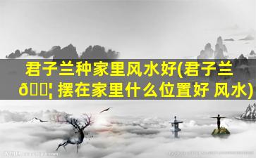 君子兰种家里风水好(君子兰 🐦 摆在家里什么位置好 风水)